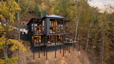 Lake Home For Sale in Blue Ridge, Georgia