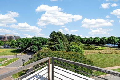 Stunning Corner Brownstone townhome with Expansive Rooftop - photo 26