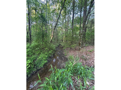 Located within the city limits of Cove, this 7.5+/- acre tract - photo 2