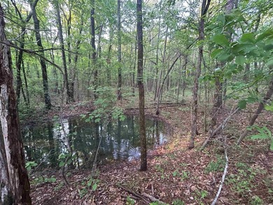 Located within the city limits of Cove, this 7.5+/- acre tract - photo 3