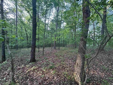 Located within the city limits of Cove, this 7.5+/- acre tract - photo 4