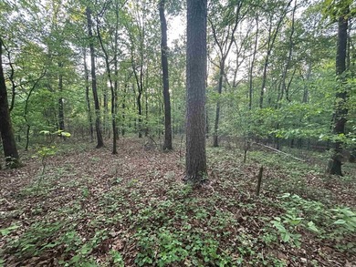Located within the city limits of Cove, this 7.5+/- acre tract - photo 5