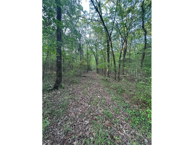 Located within the city limits of Cove, this 7.5+/- acre tract - photo 6