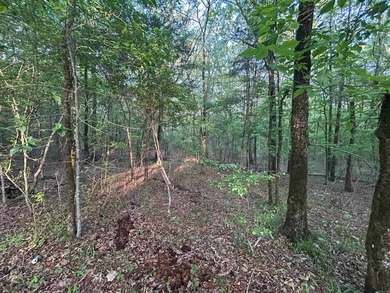 Located within the city limits of Cove, this 7.5+/- acre tract - photo 7