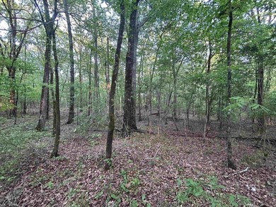 Located within the city limits of Cove, this 7.5+/- acre tract - photo 8