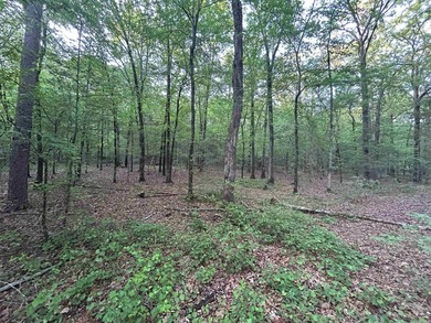 Located within the city limits of Cove, this 7.5+/- acre tract - photo 9