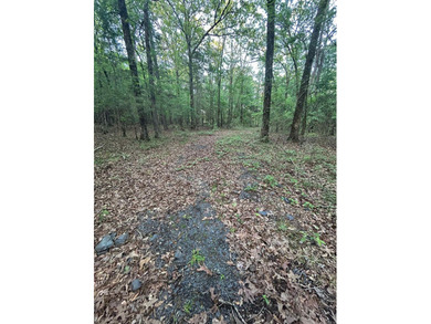 Located within the city limits of Cove, this 7.5+/- acre tract - photo 10