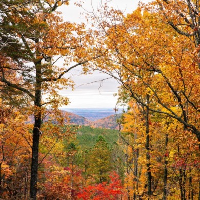 Lake Acreage Sale Pending in Soddy Daisy, Tennessee