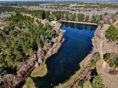 (private lake, pond, coastal) Home For Sale in Morgan Georgia