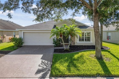 (private lake, pond, creek) Home For Sale in Parrish Florida