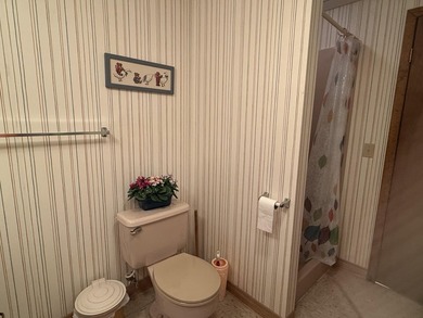 Dreaming of lakefront living? This comfortable ranch home with - photo 37