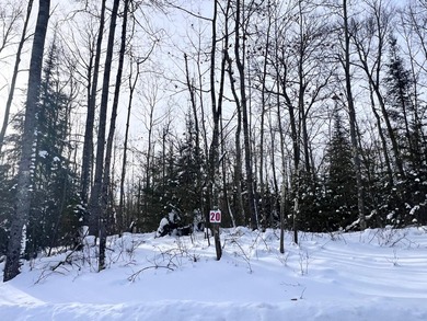 Wisconsin River - Vilas County Lot For Sale in Eagle River Wisconsin