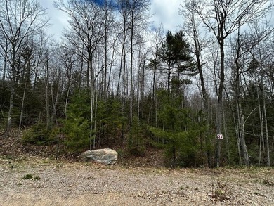 Lot 21 on Butternut Circle-Come and enjoy the peace and quiet of - photo 2