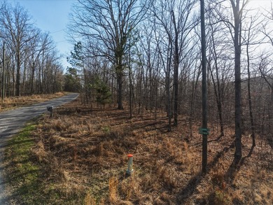 Build your dream home overlooking beautiful Kentucky lake! With - photo 5