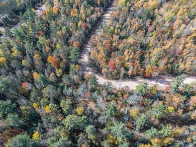 Lot 21 on Butternut Circle-Come and enjoy the peace and quiet of - photo 6