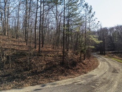Build your dream home overlooking beautiful Kentucky lake! With - photo 6
