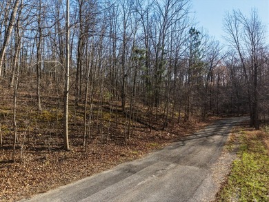 Build your dream home overlooking beautiful Kentucky lake! With - photo 7