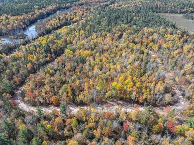 Lot 21 on Butternut Circle-Come and enjoy the peace and quiet of - photo 8