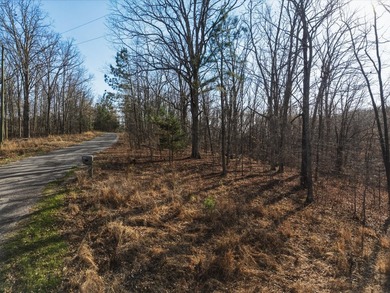 Build your dream home overlooking beautiful Kentucky lake! With - photo 8