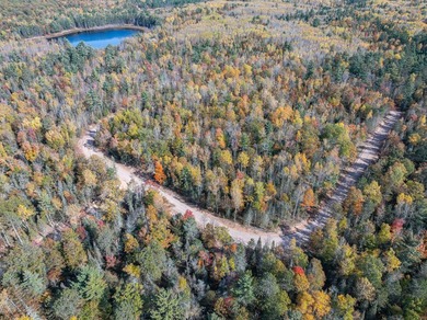 Lot 21 on Butternut Circle-Come and enjoy the peace and quiet of - photo 9