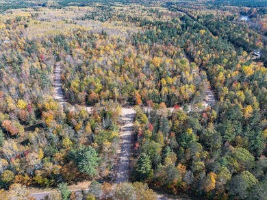 Lot 21 on Butternut Circle-Come and enjoy the peace and quiet of - photo 10