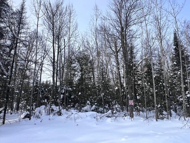Wisconsin River - Vilas County Lot For Sale in Eagle River Wisconsin