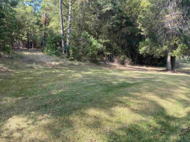 Lake Cypress Springs Lot For Sale in Mount Vernon Texas