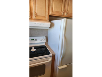 Clean, Clean, Clean, 55+ age and totally upgraded and renovated - photo 16