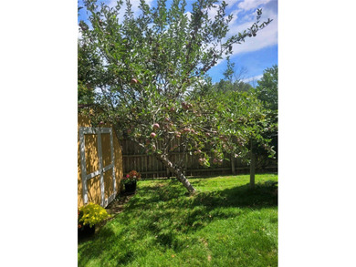 Meticulously maintained 4 bedroom and 2.5 bath split-level in - photo 34