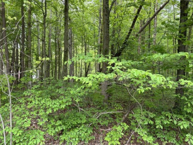 Build your Dream home nestled on this beautifully wooded lot! - Lake Lot Sale Pending in Allegan, Michigan