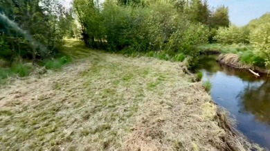 Lake Alice Acreage For Sale in Tomahawk Wisconsin