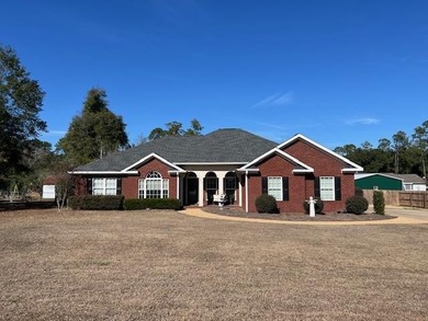 Twin Lakes - Decatur County Home For Sale in Bainbridge Georgia