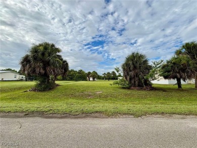 Lake Lot For Sale in Moore Haven, Florida