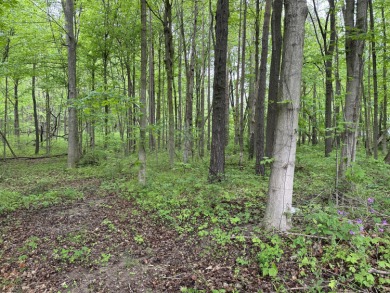 Build your Dream home nestled on this beautifully wooded lot! - Lake Lot Sale Pending in Allegan, Michigan