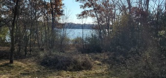 Buffalo Lake Lot For Sale in Montello Wisconsin