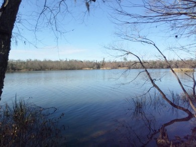 (private lake, pond, coastal) Home Sale Pending in Bainbridge Georgia