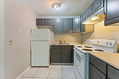 Welcome to resort-style living in the highly desirable gated - photo 5