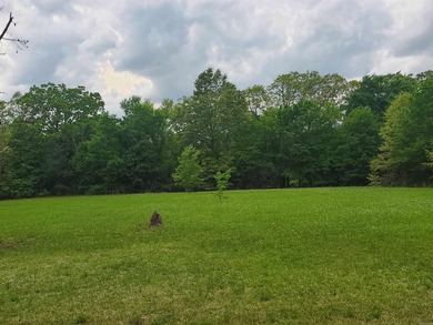 Beautiful 2.29+/- acre setting just a short distance from Lake - photo 6