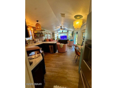 Lake Home For Sale in Salt Springs, Florida