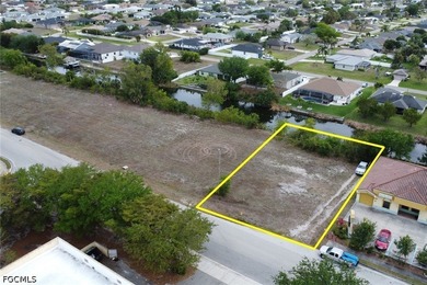 Prime commercial lot! Located in a booming section of Cape Coral - photo 1