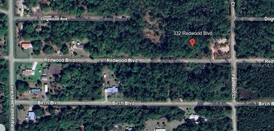 Lake George Lot For Sale in Georgetown Florida