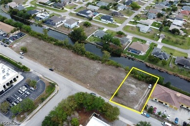 Prime commercial lot! Located in a booming section of Cape Coral - photo 3