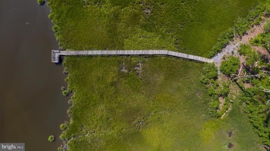 CLEARED Lot available to build your home on in Blackwater - photo 3