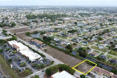 Prime commercial lot! Located in a booming section of Cape Coral - photo 4