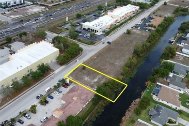 Prime commercial lot! Located in a booming section of Cape Coral - photo 6