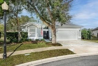 (private lake, pond, coastal) Home Sale Pending in Palm Coast Florida
