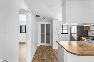 REDUCED PRICE! 2/2 Condo. freshly painted. Brand new vinyl - photo 3