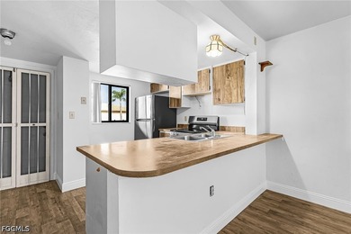 REDUCED PRICE! 2/2 Condo. freshly painted. Brand new vinyl - photo 7