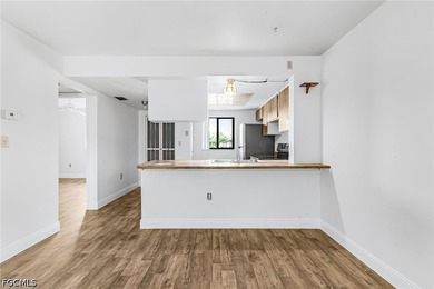 REDUCED PRICE! 2/2 Condo. freshly painted. Brand new vinyl - photo 8