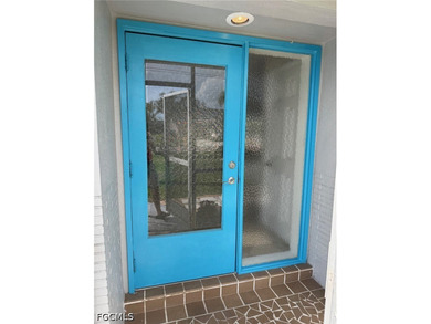 Lowest priced gulf access home on the market. Price just reduced - photo 6